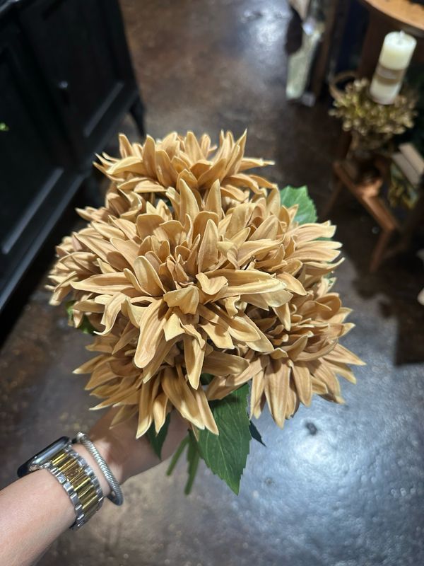 KKI 12" Tan RT Dahlia Bundle 6 Stems