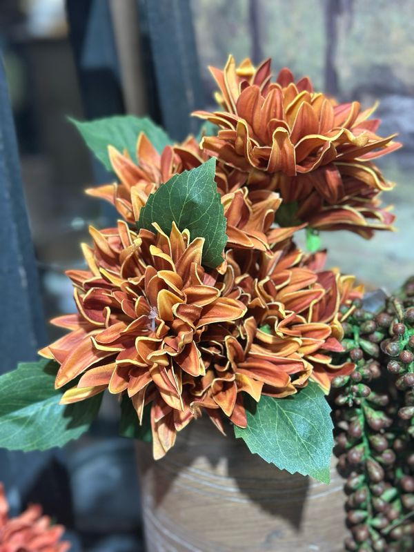 KKI 12" Rust RT Dahlia Bundle 6 Stems