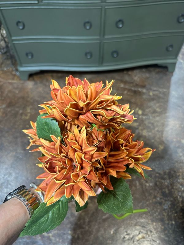 KKI 12" Rust RT Dahlia Bundle 6 Stems