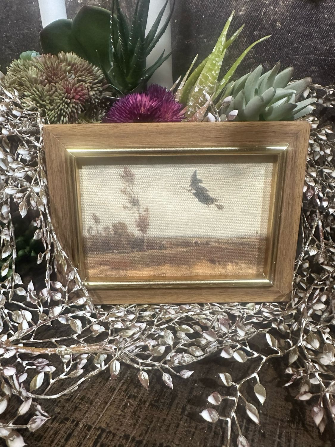 PLH 6x4 Autumn Sky Witch