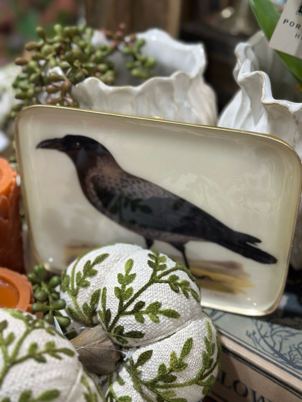 AUD 6x8 Crow