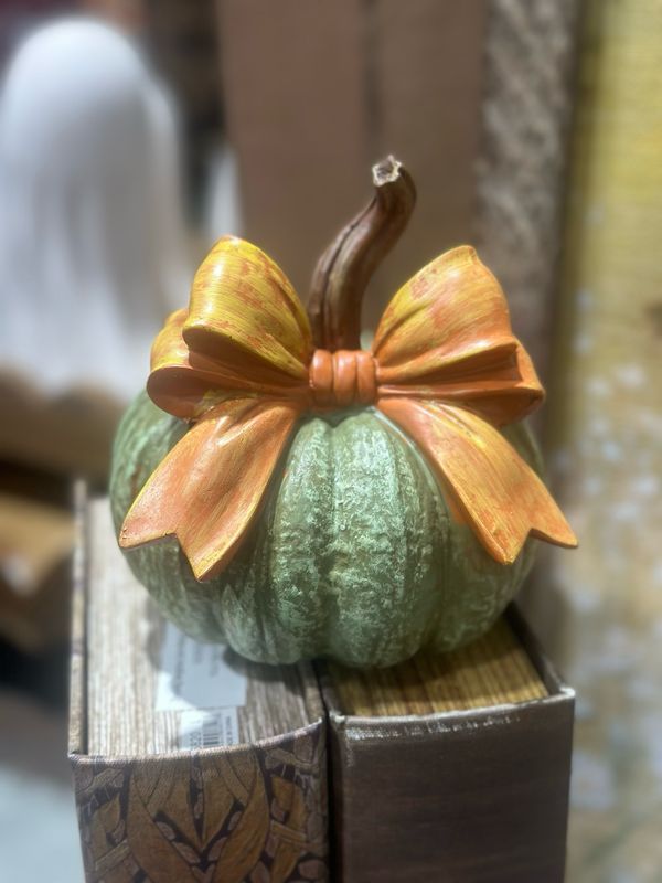 Han 6" Ribbon Gr Pumpkin