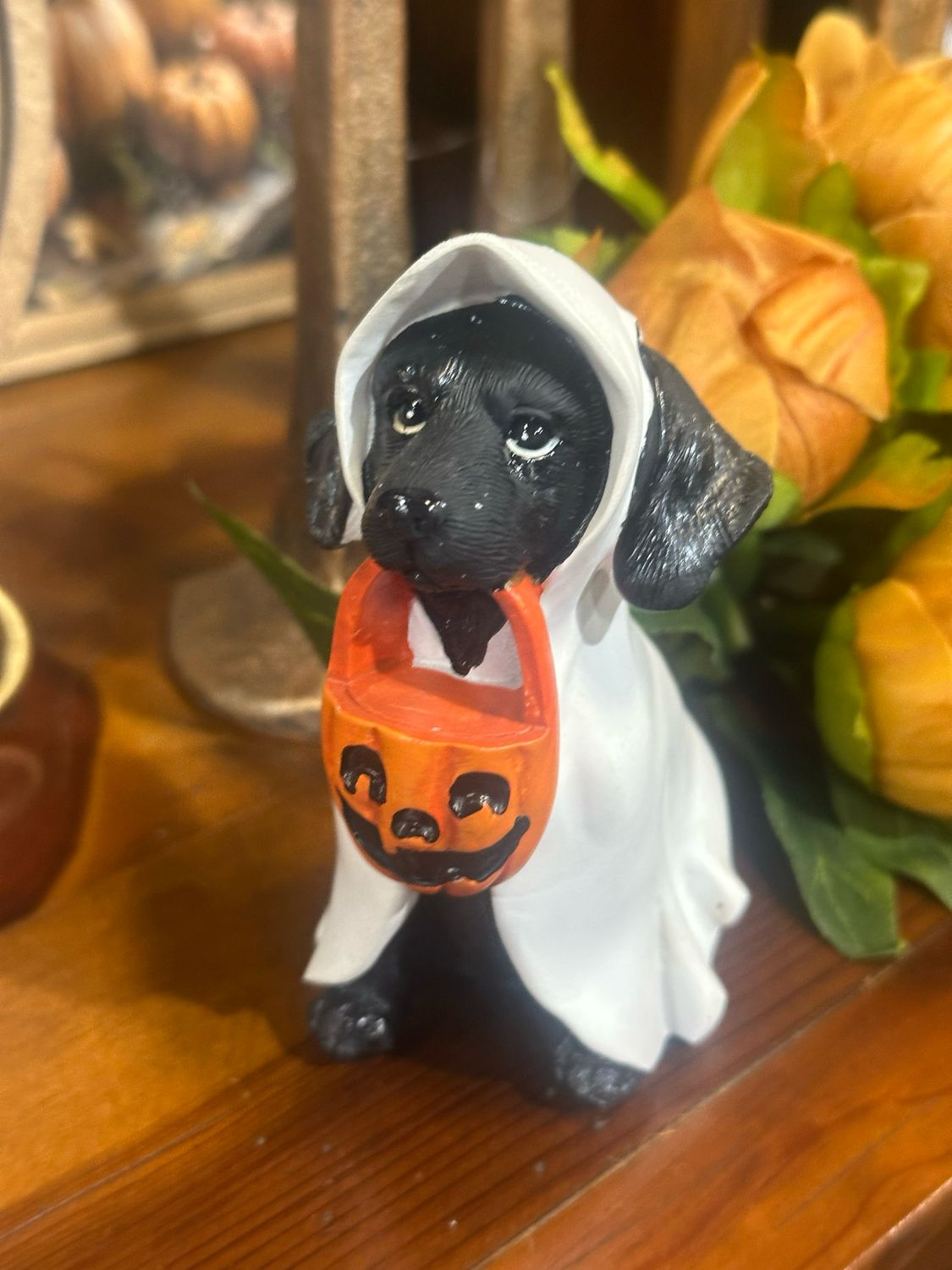 Han Pup 5" Lab