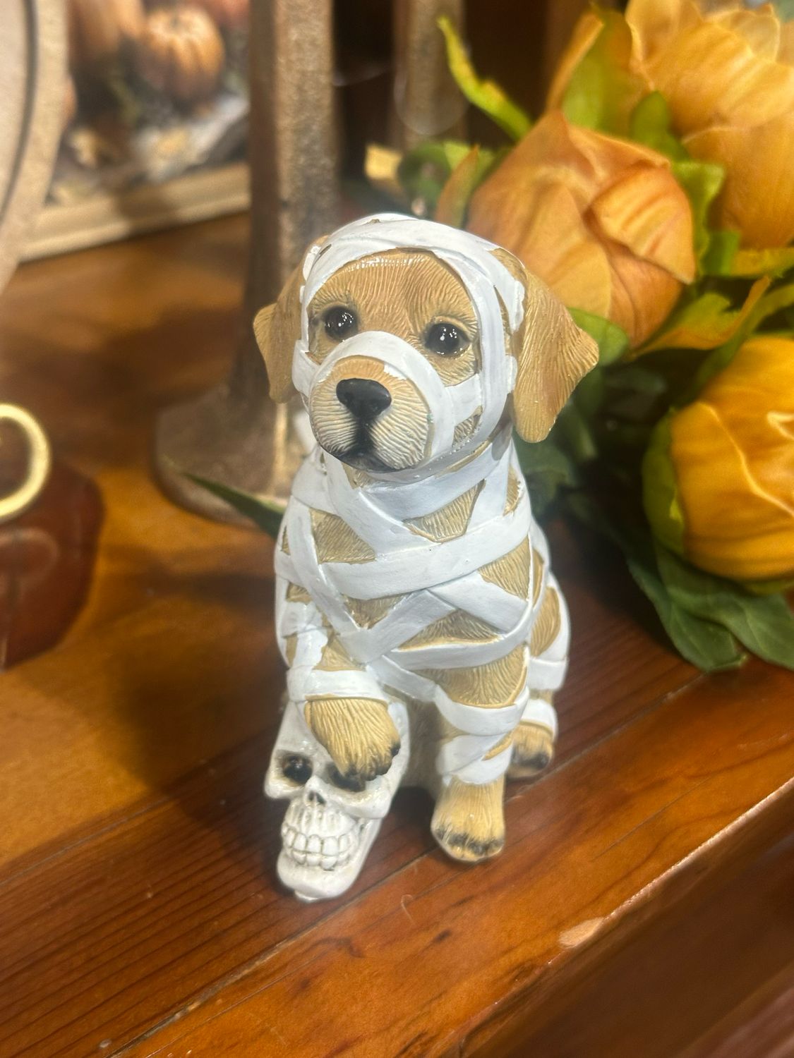 Han Pup 5" Mummy