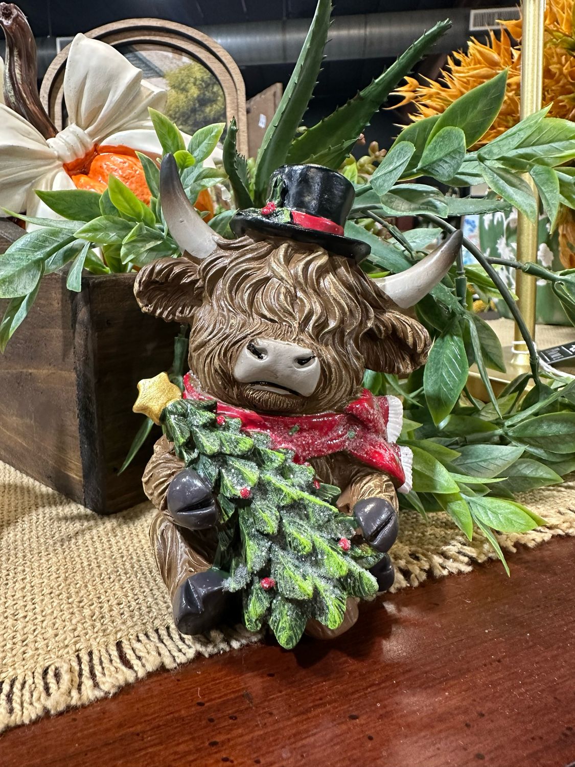 Han Holly 5x4 Tree High