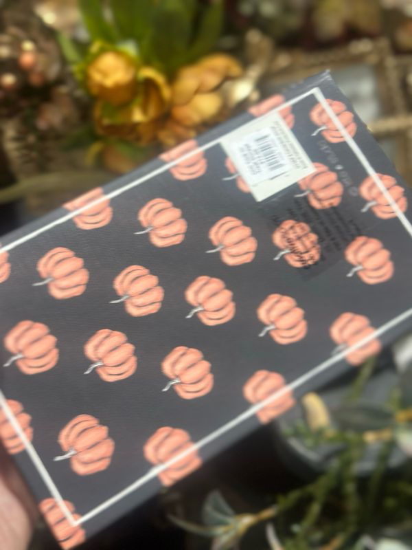 CCO Trick Or Treat Storage Book