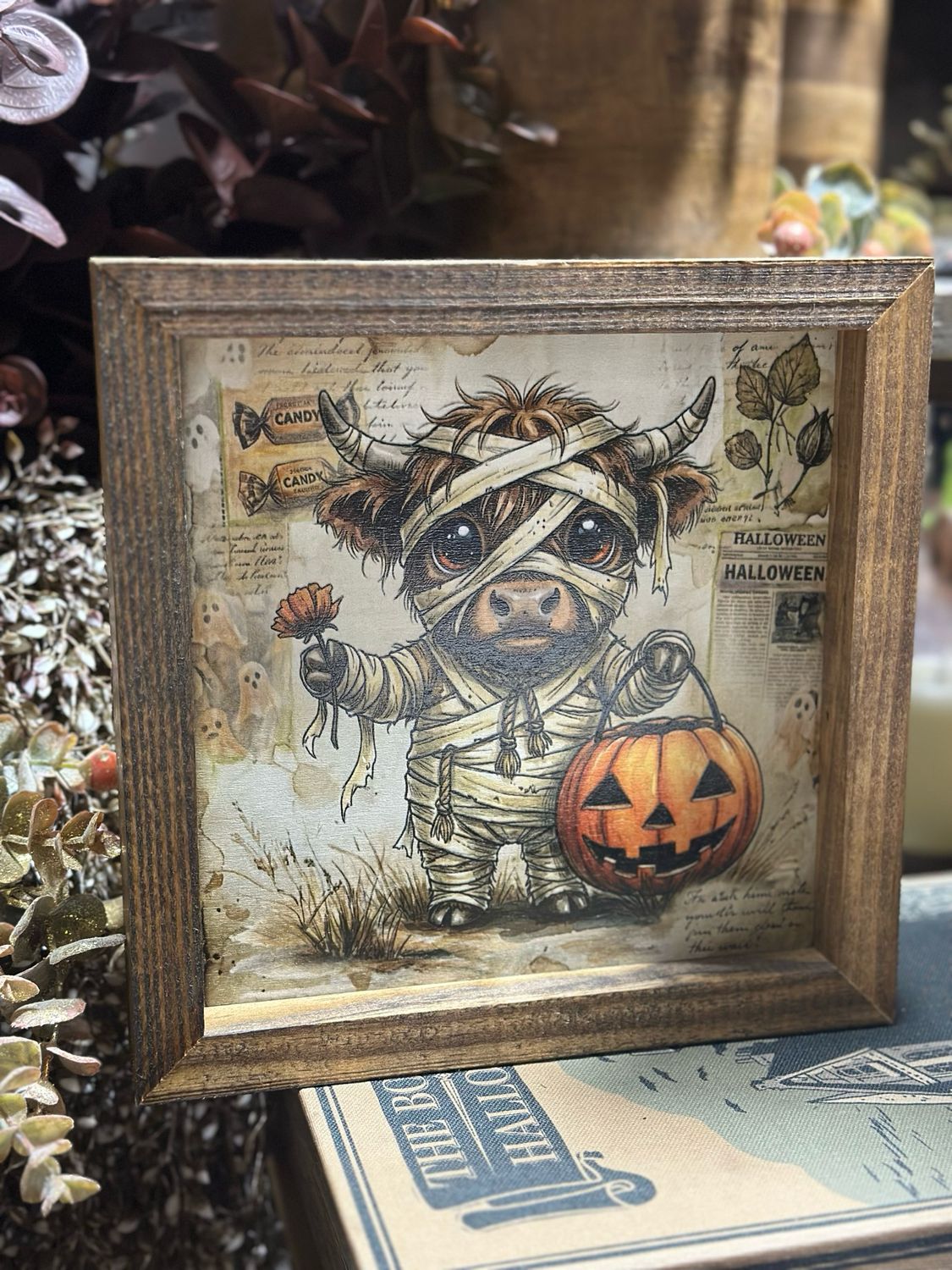 Jarmz 9x9 High Mummy
