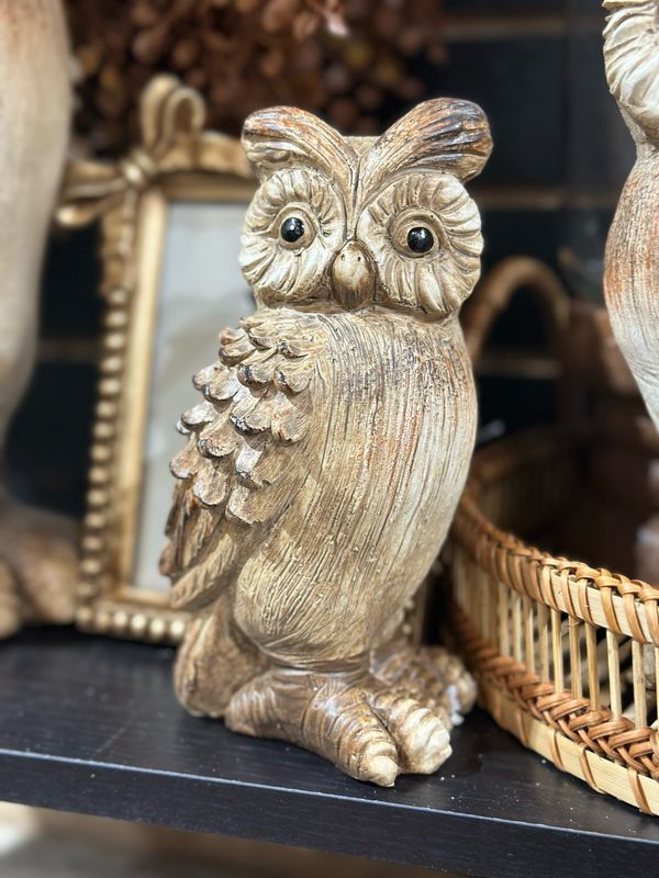Fan Sm Owl 7"