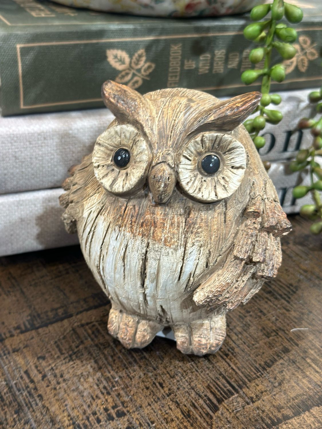 Fan Md Fat Owl 5"