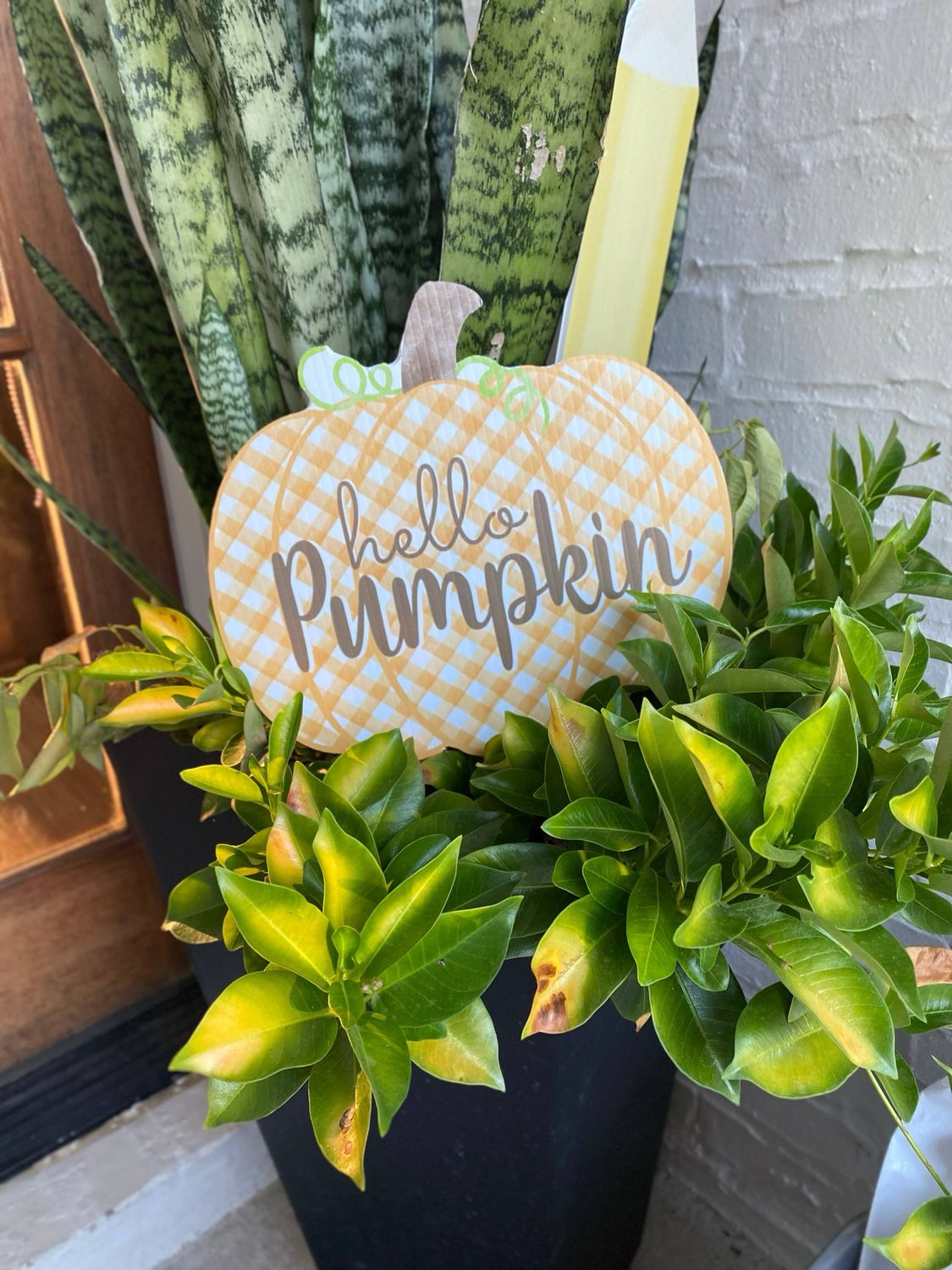 LRE Hello Pump 10x9 Pot