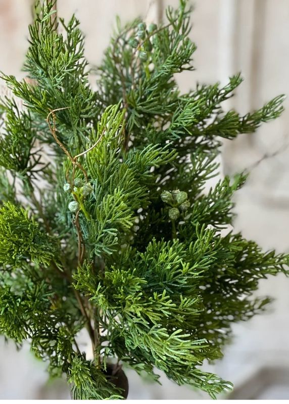 Lan 17" Dripping Cedar Bush