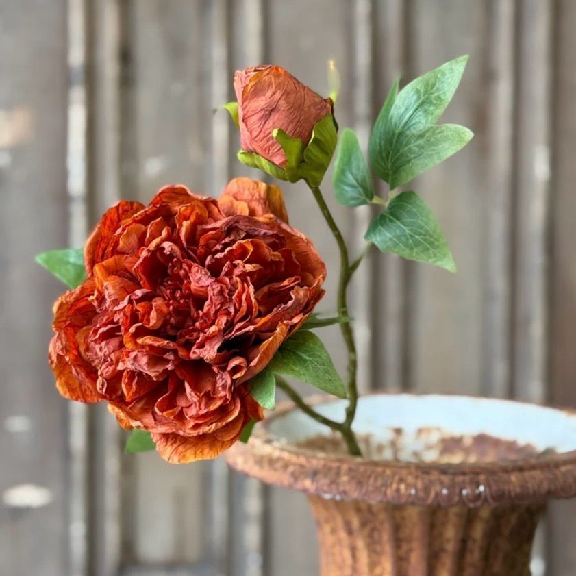 Lan 20" Orange Legacy Blooms Simmer