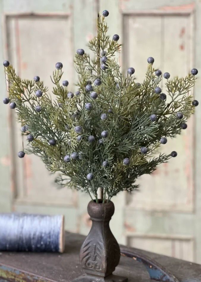 Lan 18" Midnight Juniper Bush