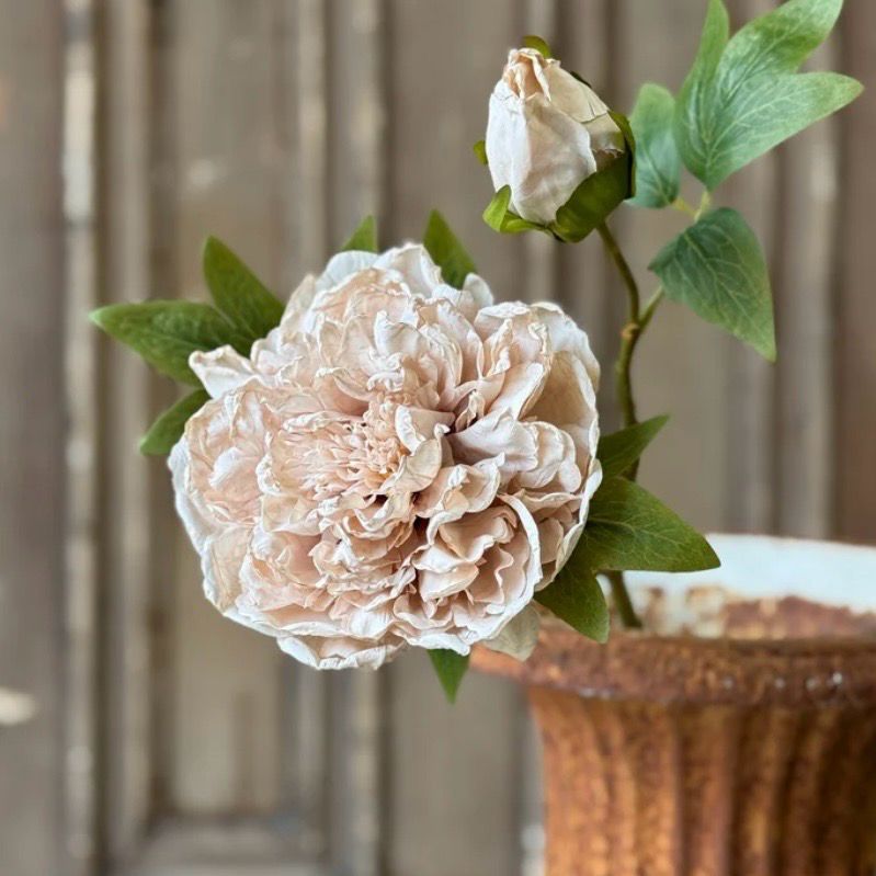 Lan 20" Cream Legacy Blooms Lace
