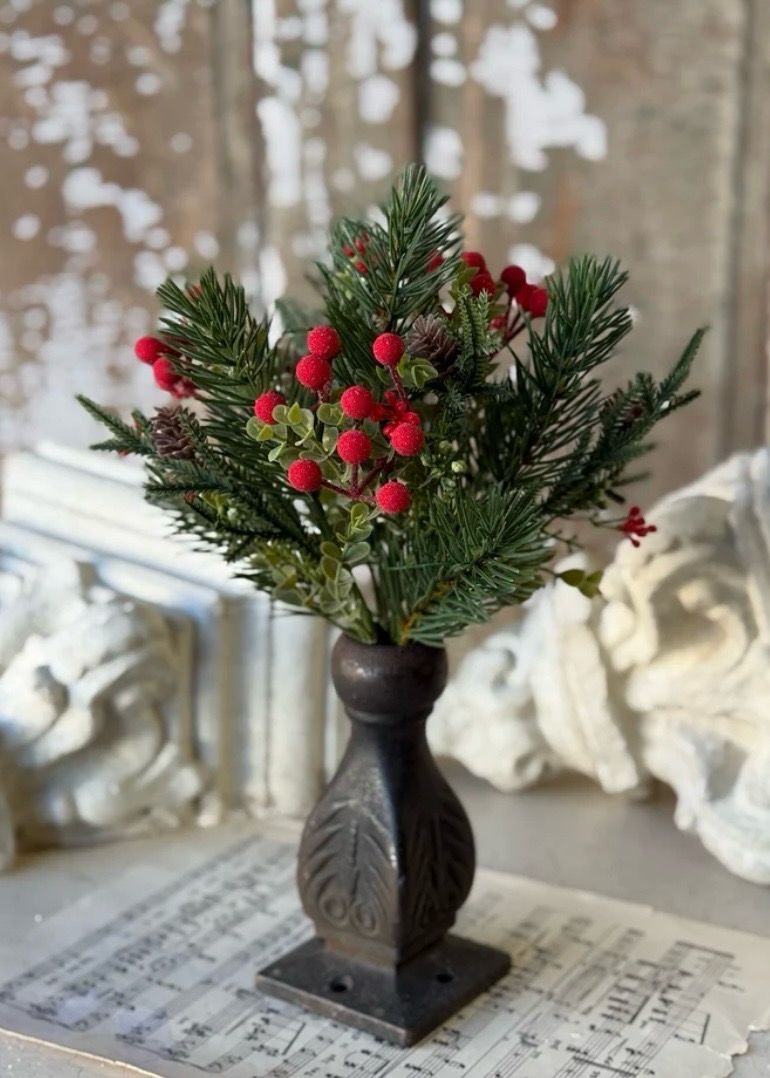 Lan 12" Red Pineheart Berry Bush