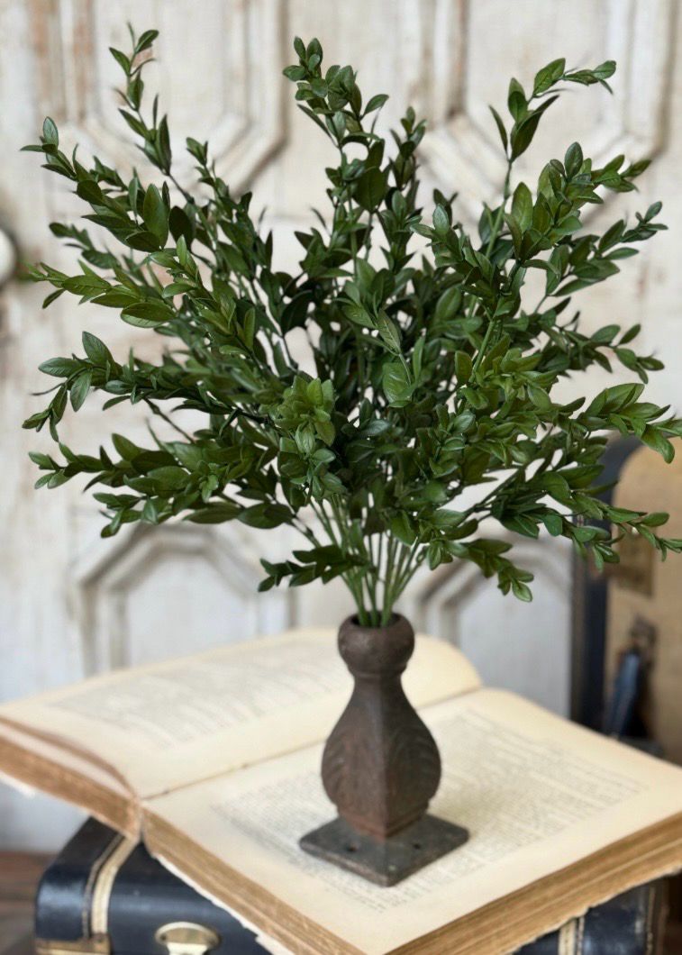 Lan 18" Nottswood Leaves Bush