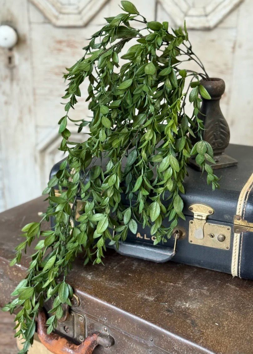 Lan 28" Nottswood Leaves Hanging