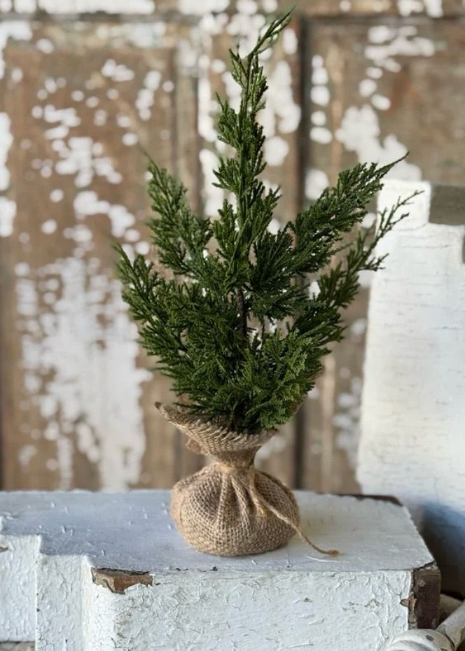 Lan 15" Woodland Cedar Tree