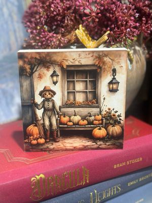 BBE 5x5 Standing Scarecrow