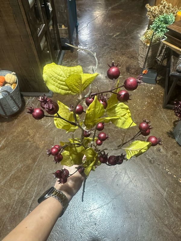 Rag 31" Burgundy Rose Hips Spray