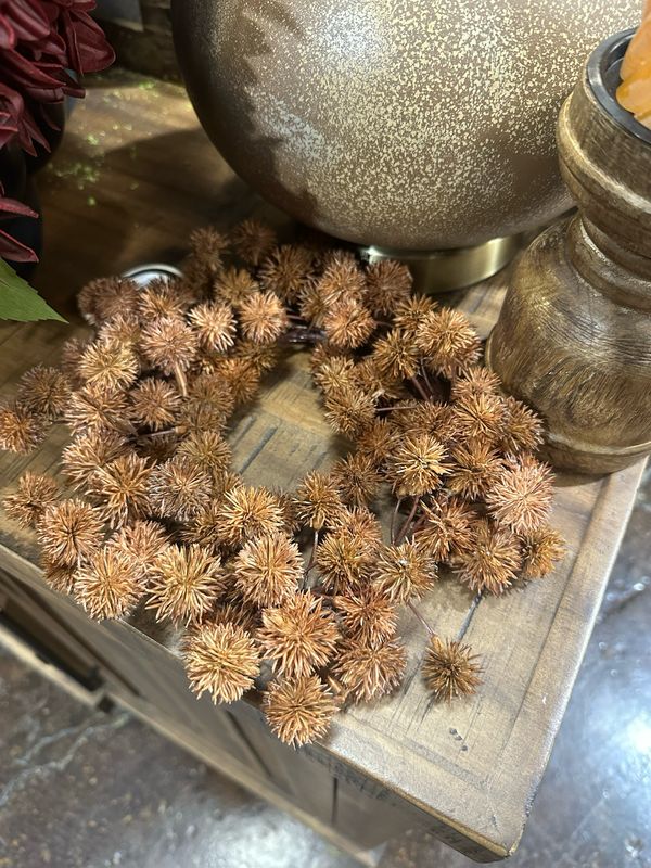 Rag 10" Rust Mini Chestnut Seed CR