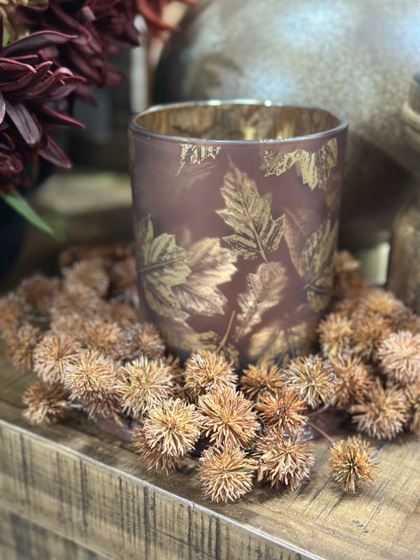Rag 10" Rust Mini Chestnut Seed CR