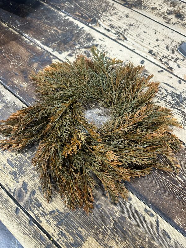 Rag 14" Orange Tipped Juniper CR