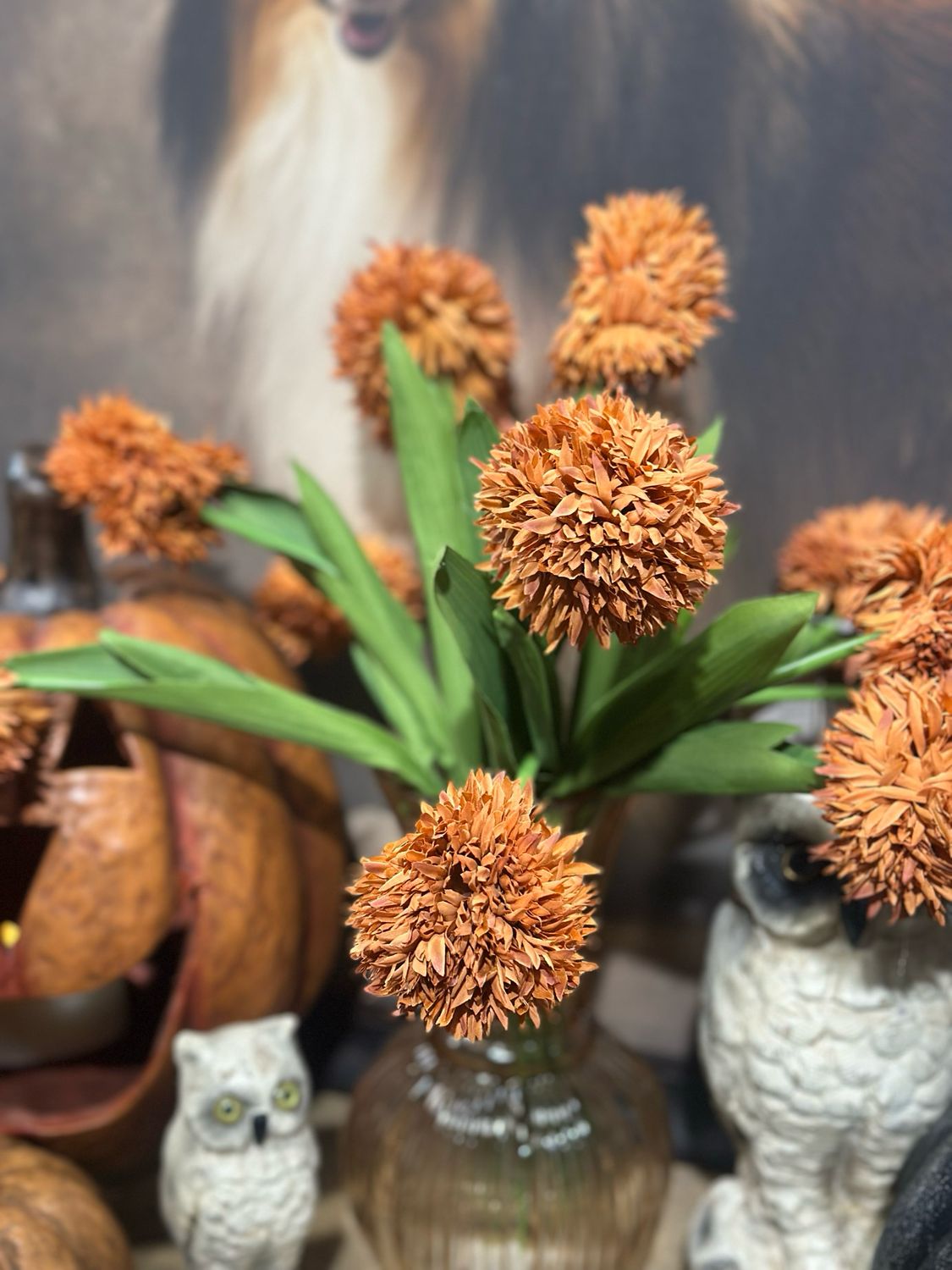 Rag 16.5" Burnt Orange Mum Bundle