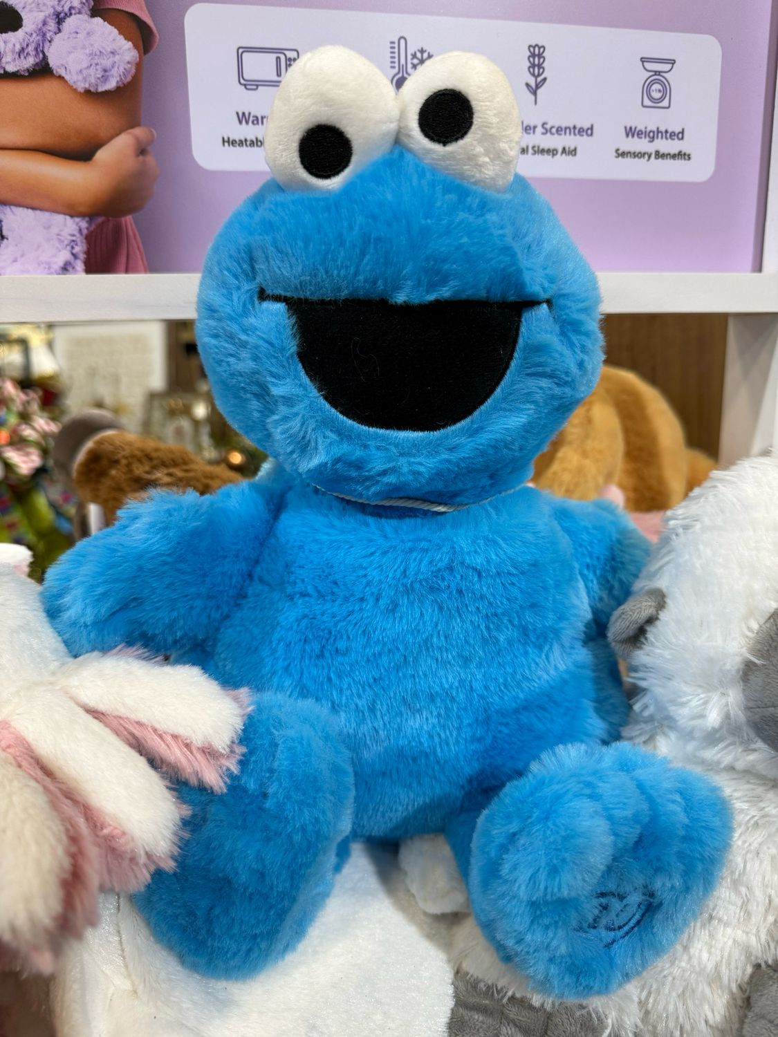 Warmies Cookie Monster