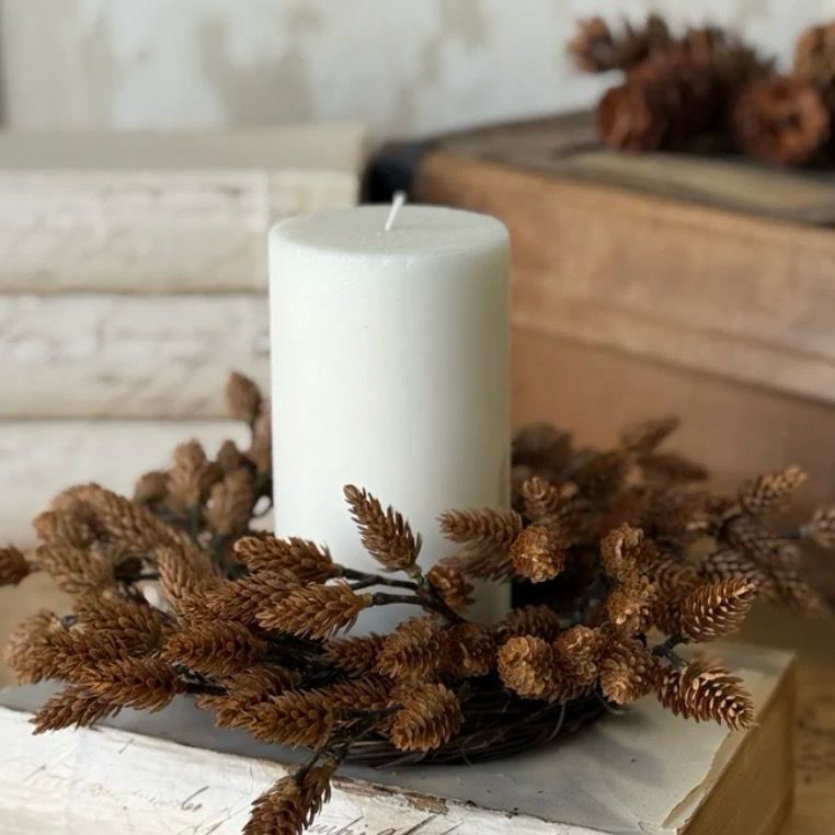 Lan 4" Plethora Pinecones CR