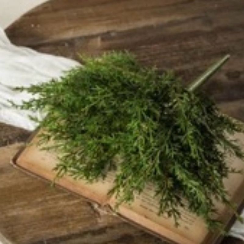 Rag 12" Juniper Bush