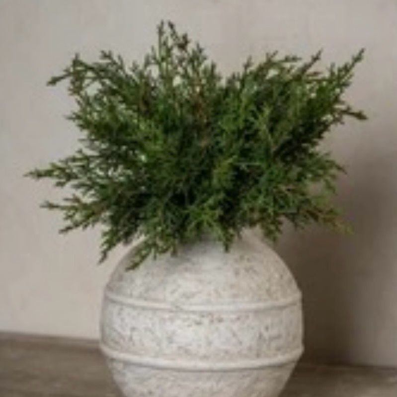 Rag 12" Juniper Bush