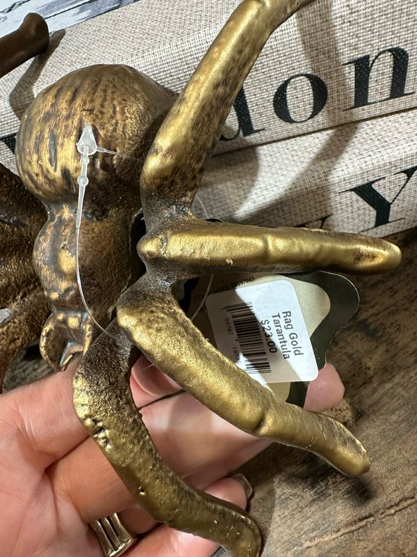 Rag Gold Tarantula 6x5.25x1.75