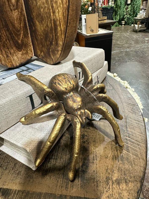 Rag Gold Tarantula 6x5.25x1.75