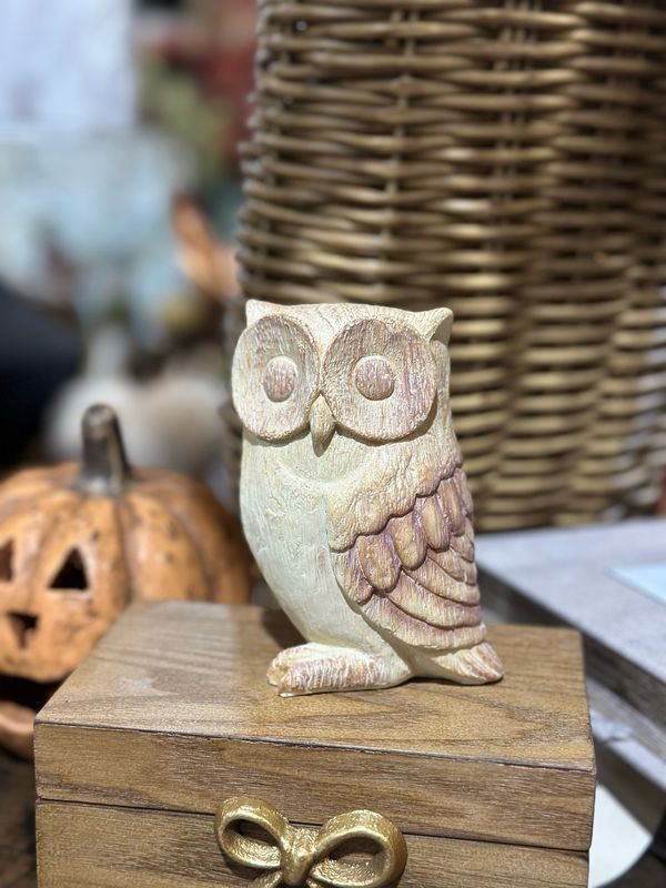 WTC Tan Owl 4x5.5