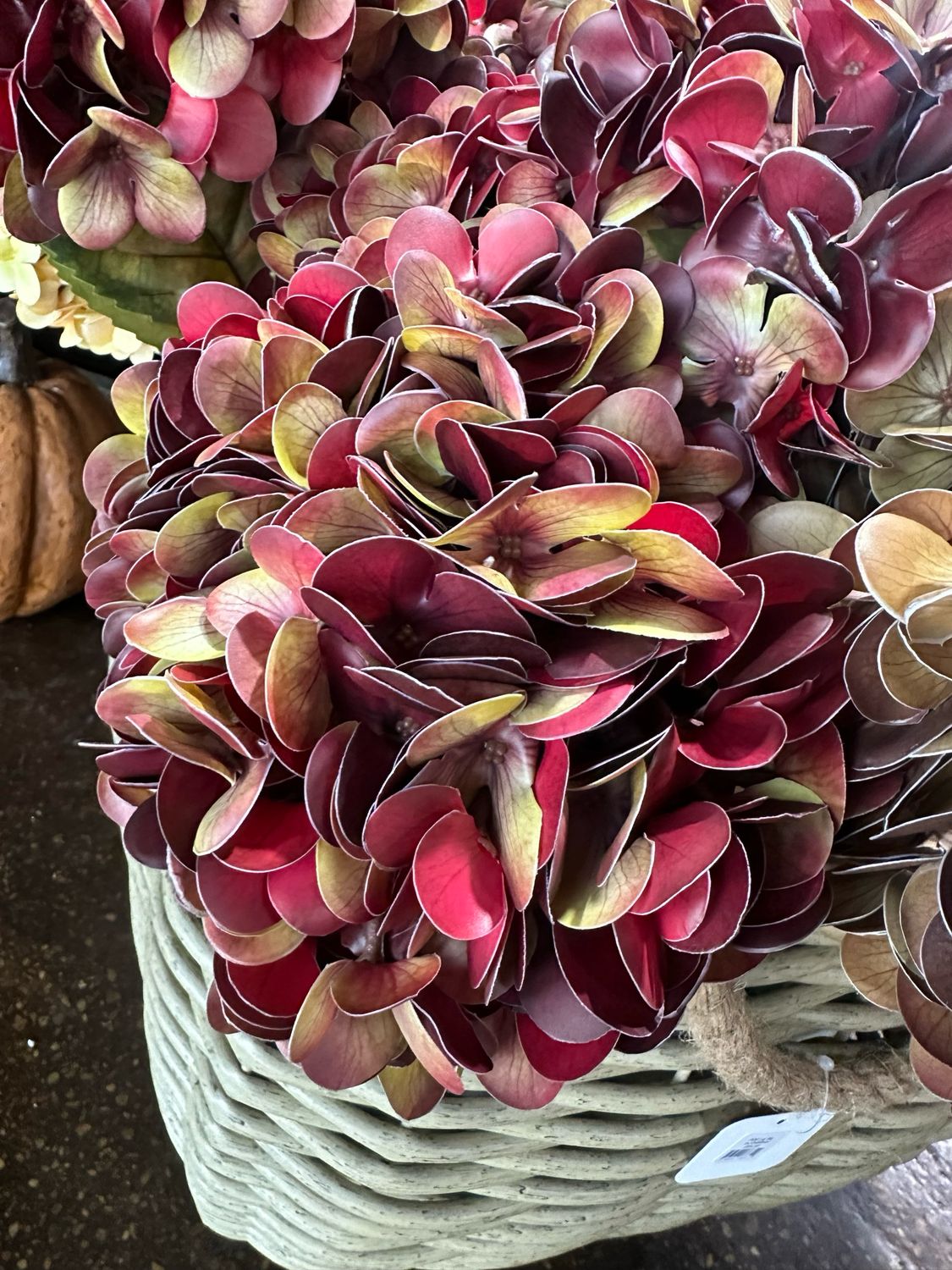 Fan 22.5" Red Hydrangea