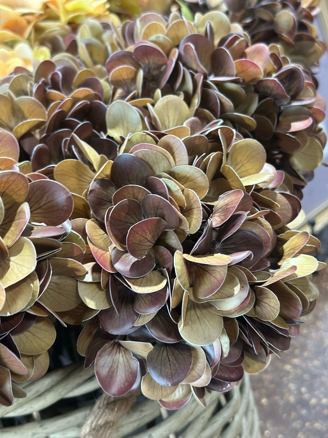 Fan 22.5" Brown Hydrangea