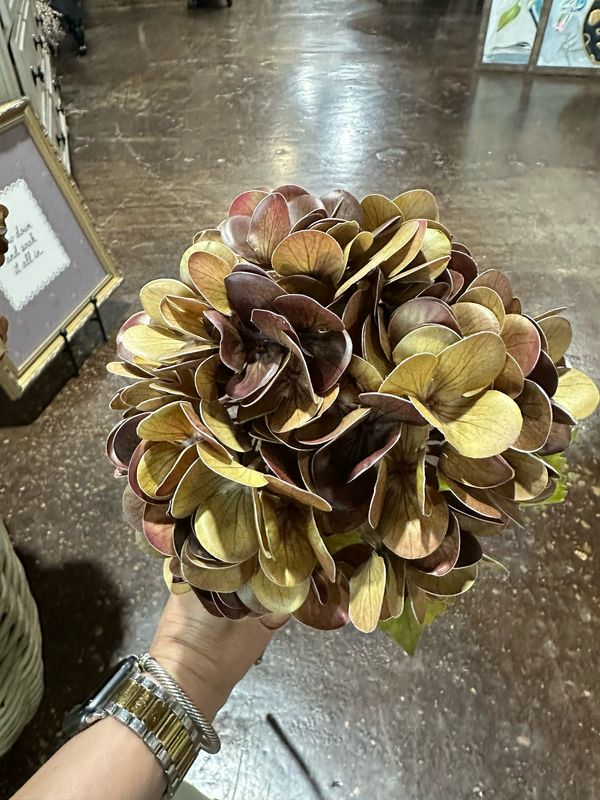 Fan 22.5" Brown Hydrangea