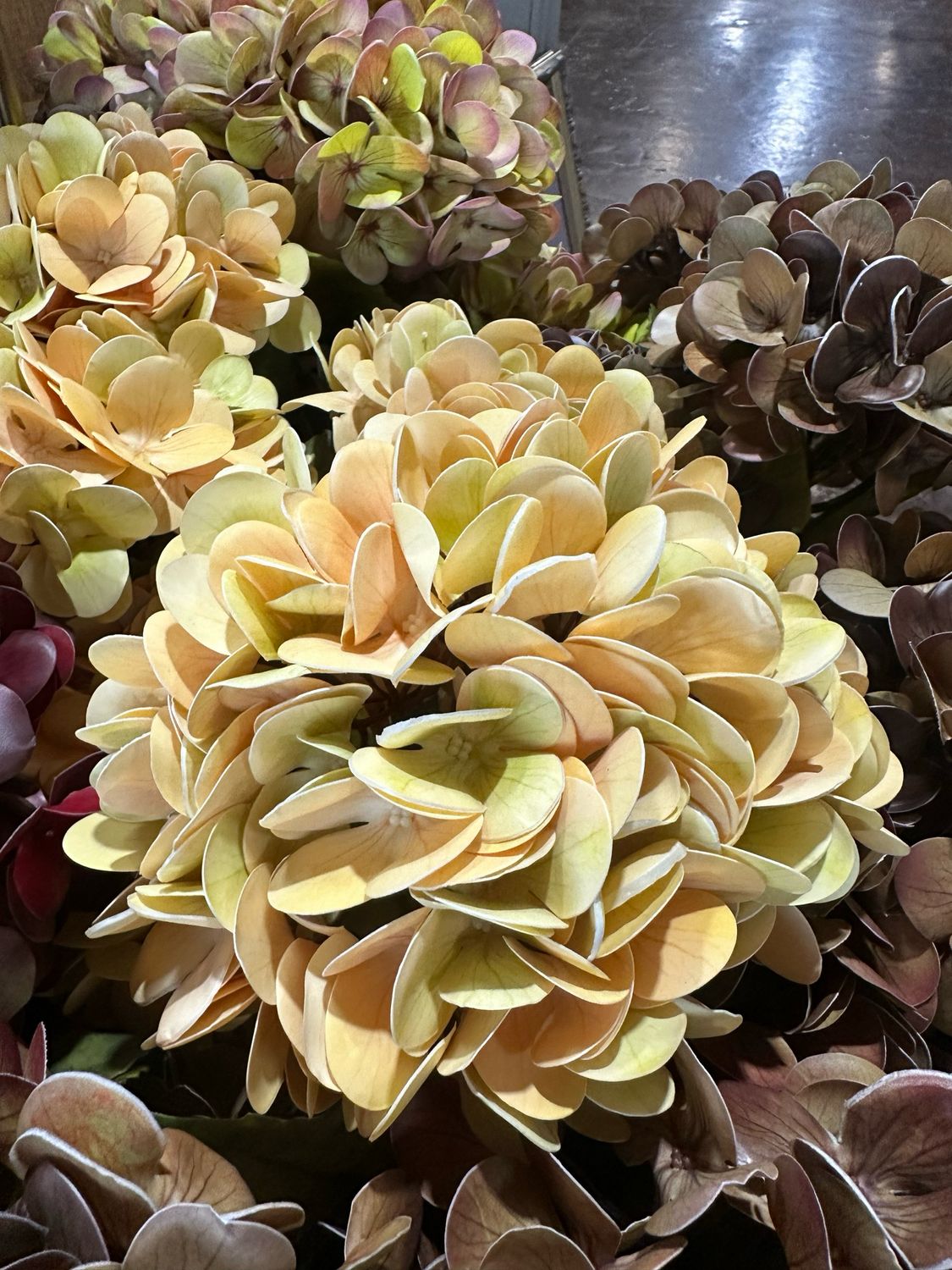 Fan 22.5" Cream Green Hydrangea