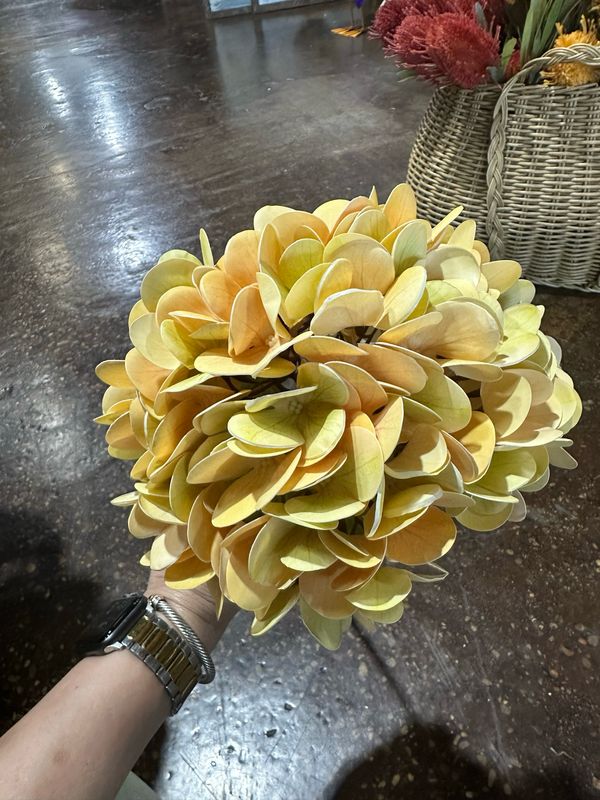 Fan 22.5" Cream Green Hydrangea