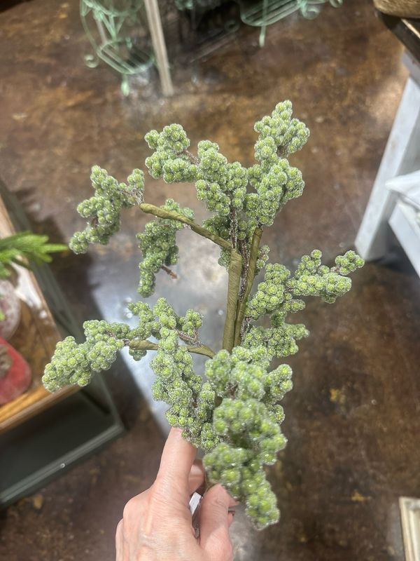 AB Green Iced Berry Spray 24"