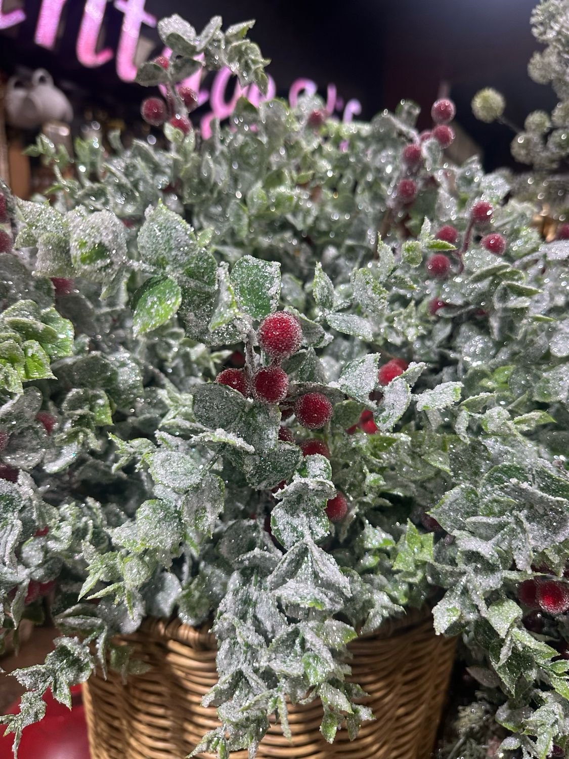 RTP 24" Frosted Berry Stem