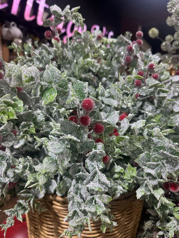 RTP 24" Frosted Berry Stem