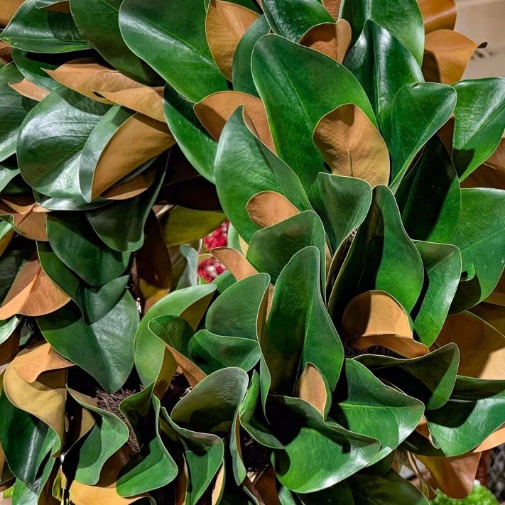 Mil 27" Magnolia Wreath
