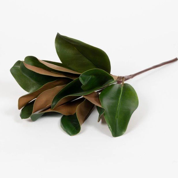 Mil 16" Magnolia