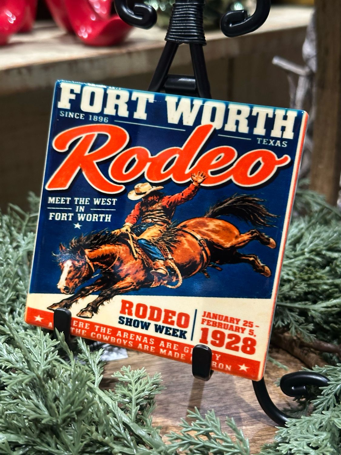SCM 4x4 Coaster Rodeo