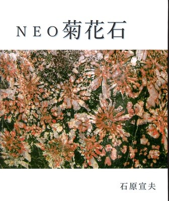 Neo Chrysanthemum Flower Stones