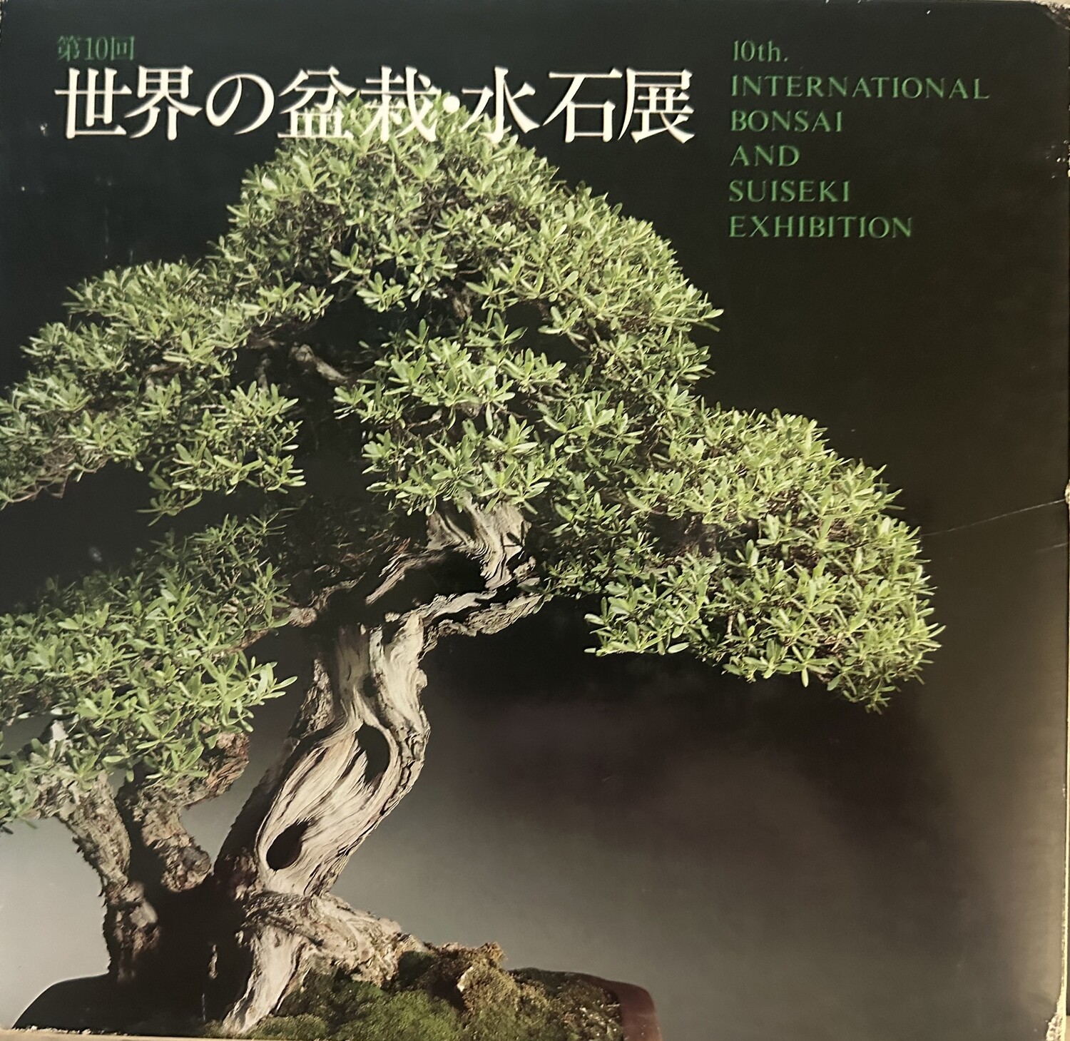 10th International Bonsai and Suiseki Exhibition