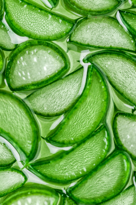 ALOE VERA