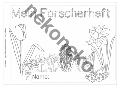 Forscherheft Frühblüher - handgezeichnet